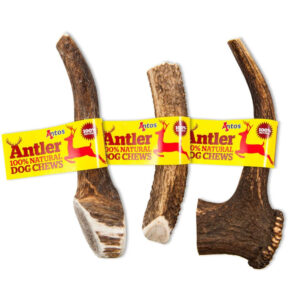 antos antlers