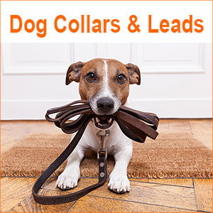 Dog Collars, Leads, Harnesses & Muzzles