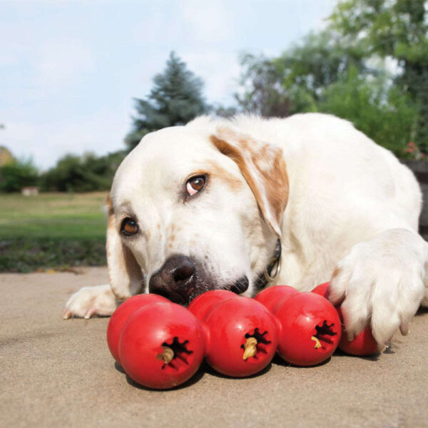 KONG GOODIE BONE RIBBON DOG