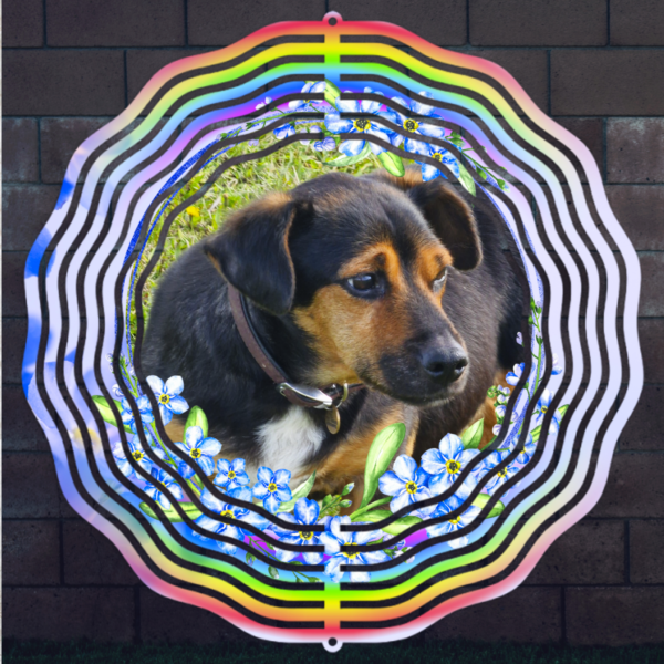 WINDSPINNER FOR WEB1