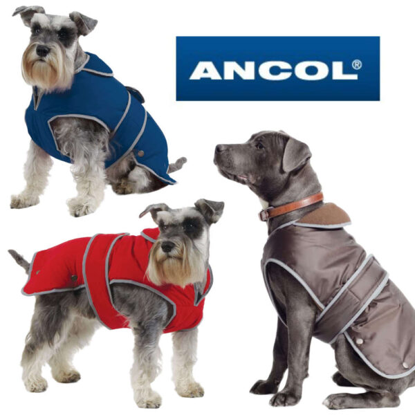 ancol stormguard dog coats