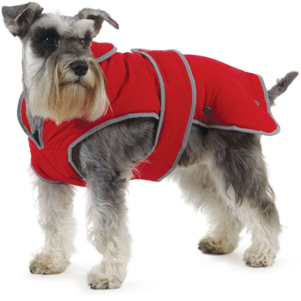 ancol stormguard red dog coat