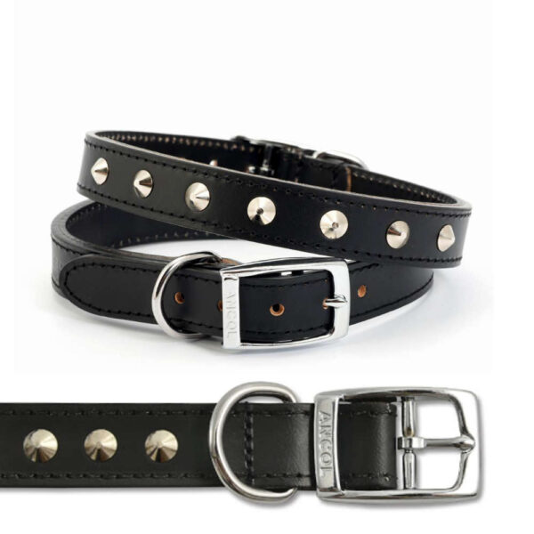 ancol studded dog collar leather