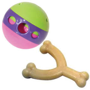 Dog Ball & Bone Toys