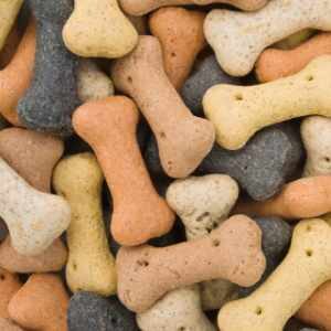 Dog Biscuit Treats