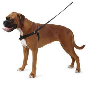 Dog Harnesses & Muzzles
