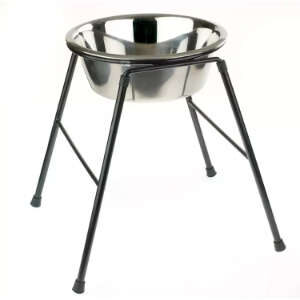 Dog Feeding Stands