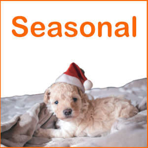 Seasonal