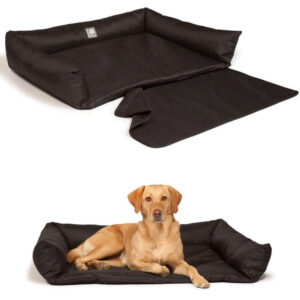 Dog Beds & Bedding