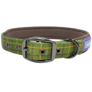 dog & co green dog collar