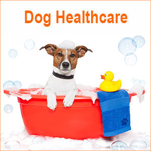 Dog Healthcare, Hygiene & Grooming