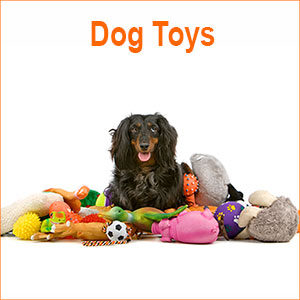 Dog Toys