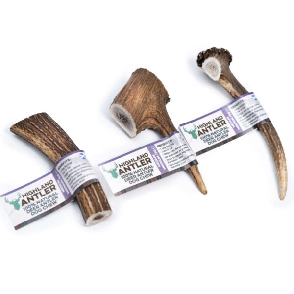 highland antler medium