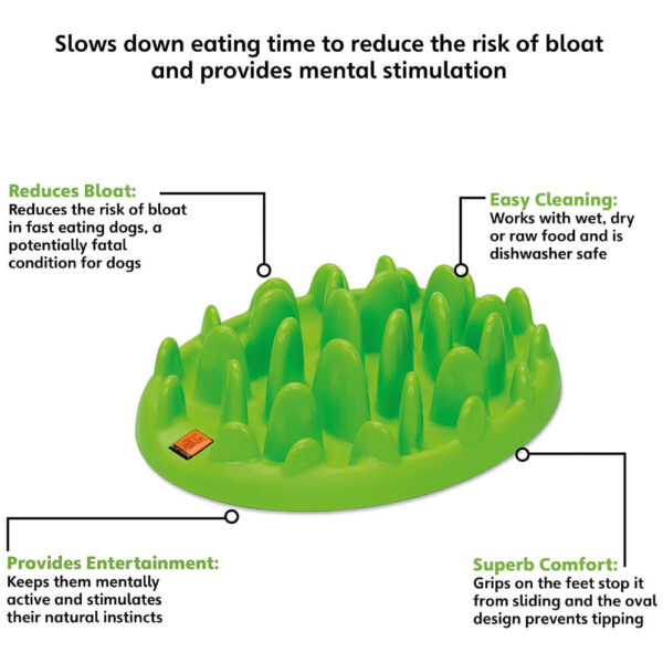 interactive feeder info