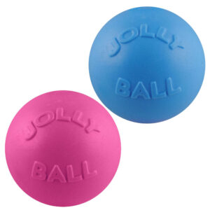 jolly ball bounce n play