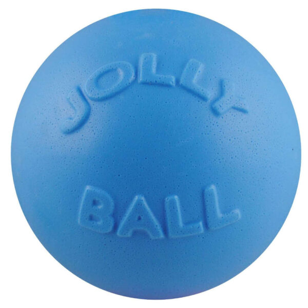 jolly bounce n play blue