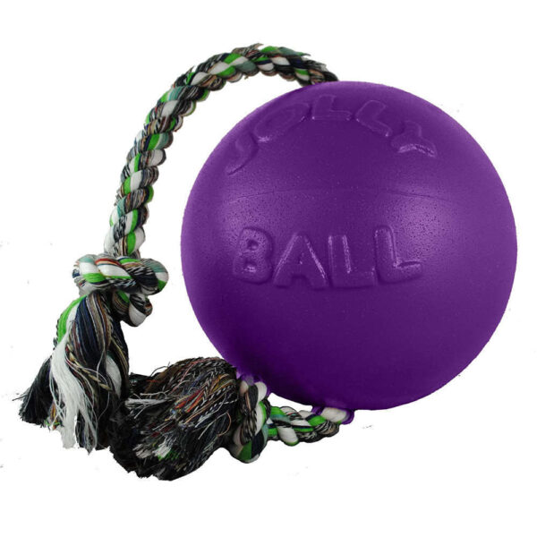 jolly romp n ball