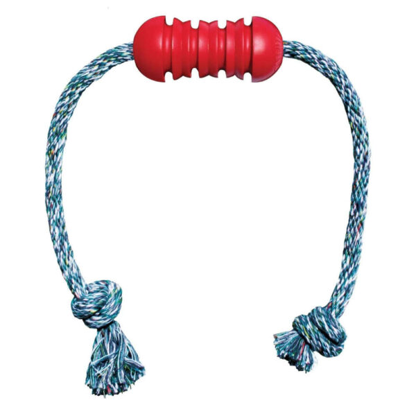 kong dental rope toy