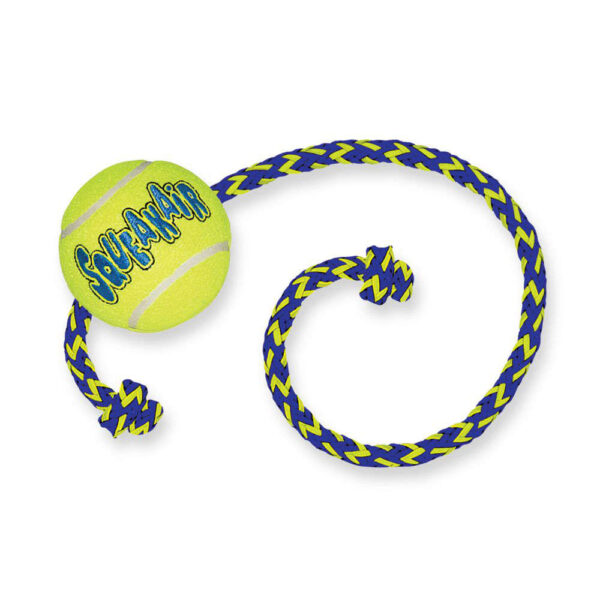 kong squeaker ball rope