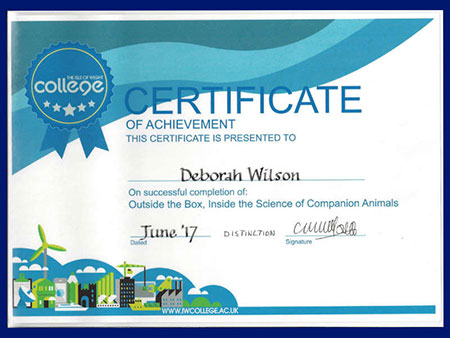 Debbie Wilson Nutritionist Certification