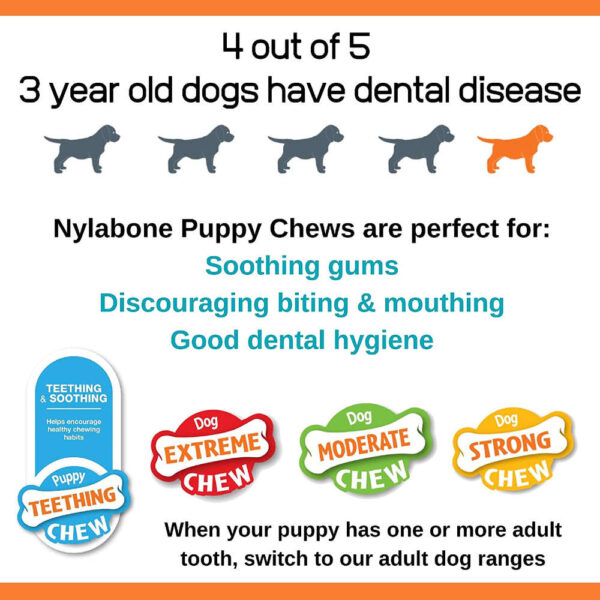 nylabone info