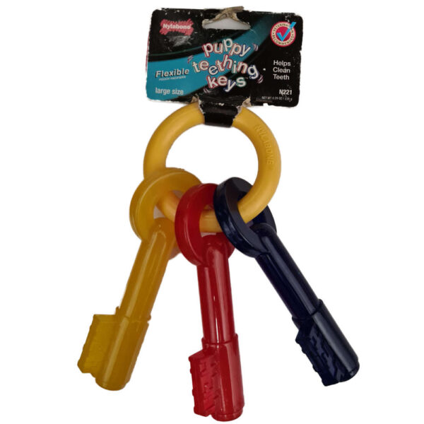 nylabone puppy teething keys