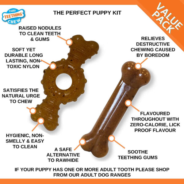 nylabone puppy ring bone 1