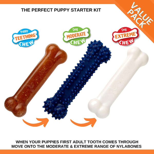 nylabone puppy starter 3