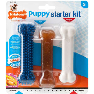 nylabone puppy starter kit