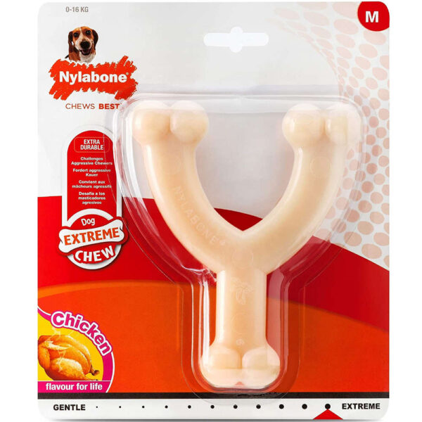 nylabone dura chew extreme wishbone