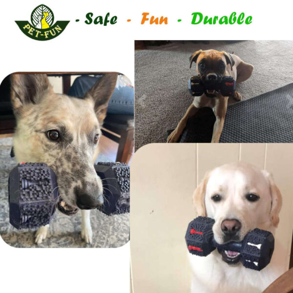pet fun dumbbell dogs